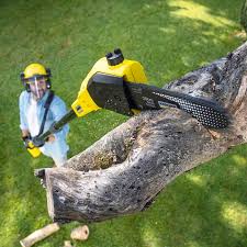 Best Lawn Drainage Solutions  in Timonium, MD